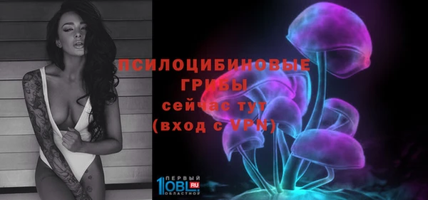 2c-b Алзамай