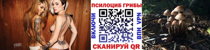 как найти закладки  Чёрмоз  Псилоцибиновые грибы Cubensis 